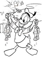 kolorowanki Kaczor Donald od Walt Disney - malowanki do wydruku numer  61